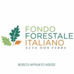 Fondo forestale bosco affiliato A0033