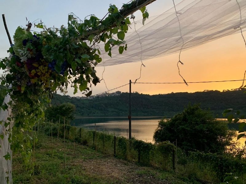 L’Azienda 1 In azienda sul lago Erbe della luna