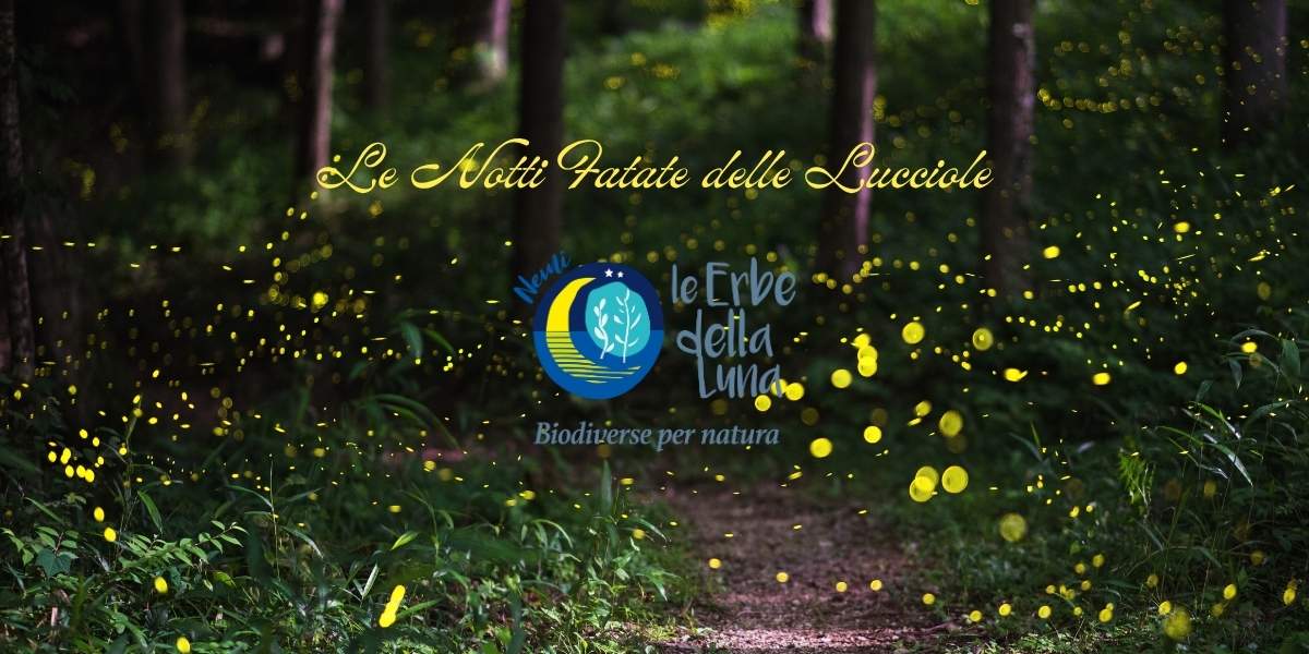 LA NOTTE FATATA DELLE LUCCIOLE 21 GIUGNO 1 Le Notti Fatate delle Lucciole copertina