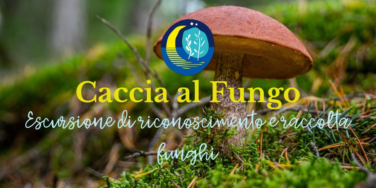 ESCURSIONE DI RICONOSCIMENTO E RACCOLTA FUNGHI, 26 OTTOBRE 1 Caccia al fungo - escursione di riconoscimento e raccolta funghi