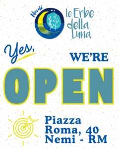 Beige White Minimalist Pattern Page Border Document A4 Landscape Post Instagram 45