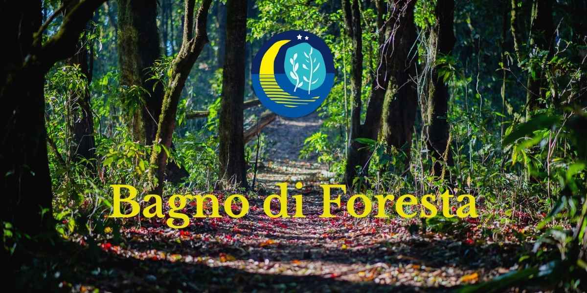 Bagno di Foresta a Nemi
