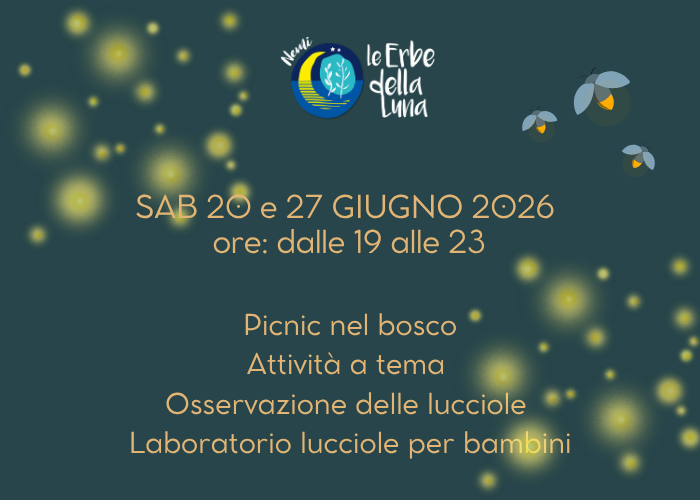 NOTTE FATATA DELLE LUCCIOLE 7 Notte Lucciole 700x500px 1