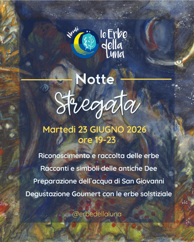 NOTTE STREGATA 4 Notte Stregata instagram 2026